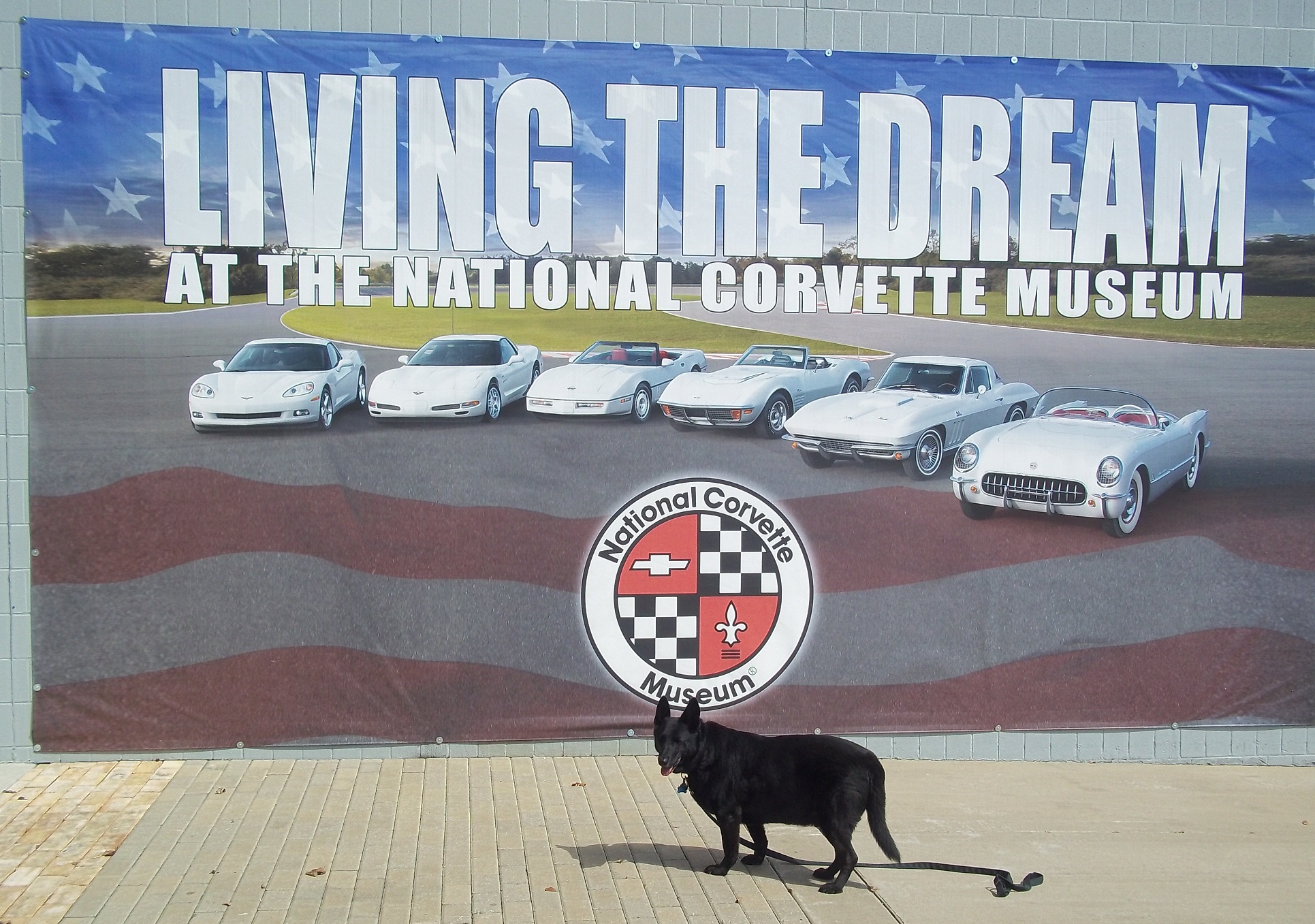 oscar at natl corvette museum