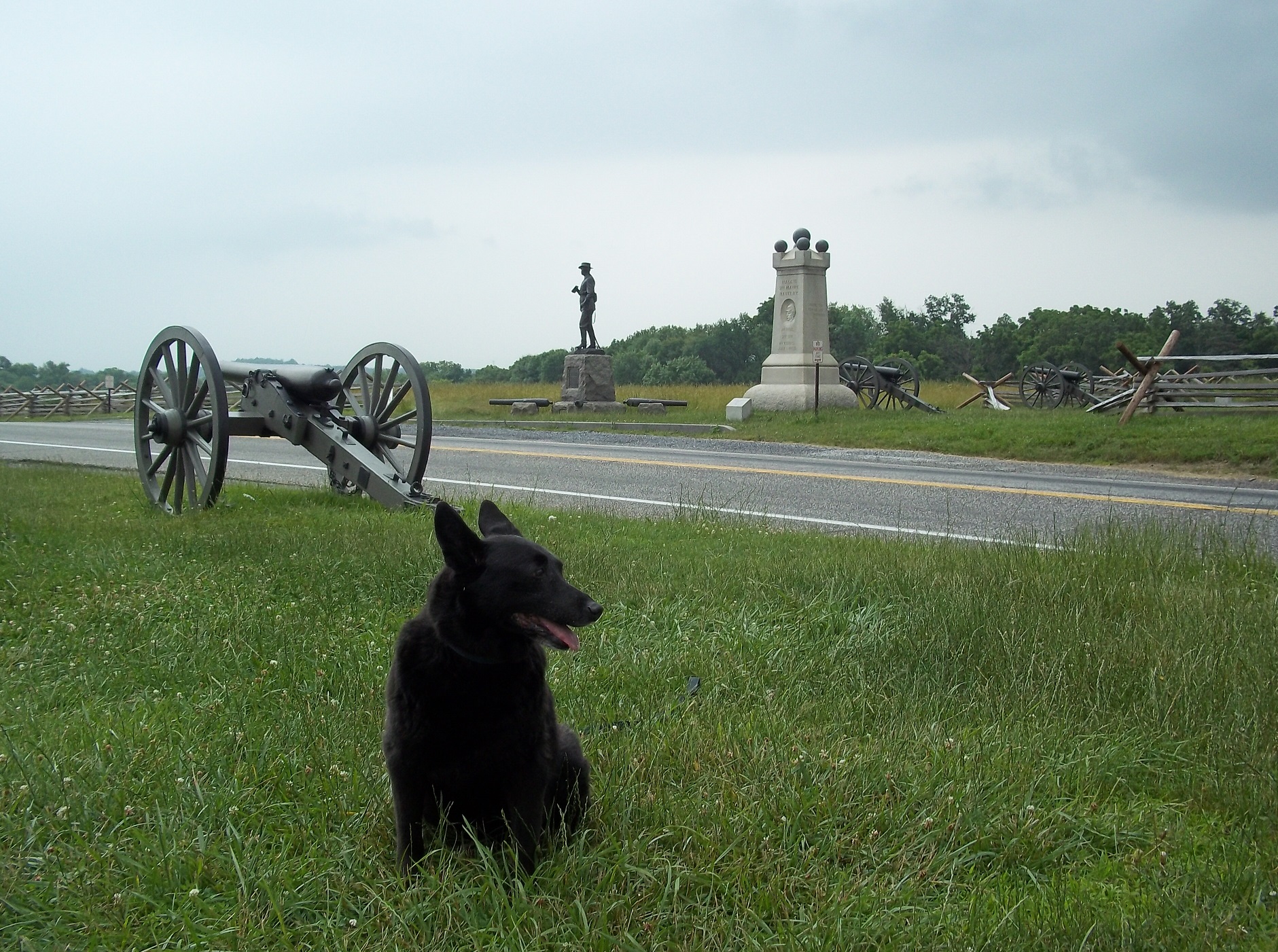 oscar at gettysburg