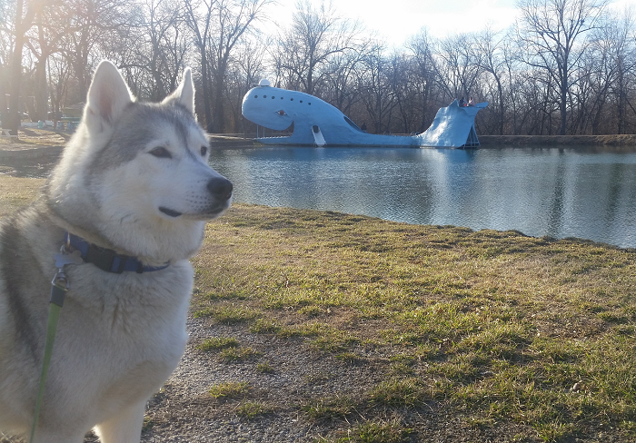 catoosa blue whale
