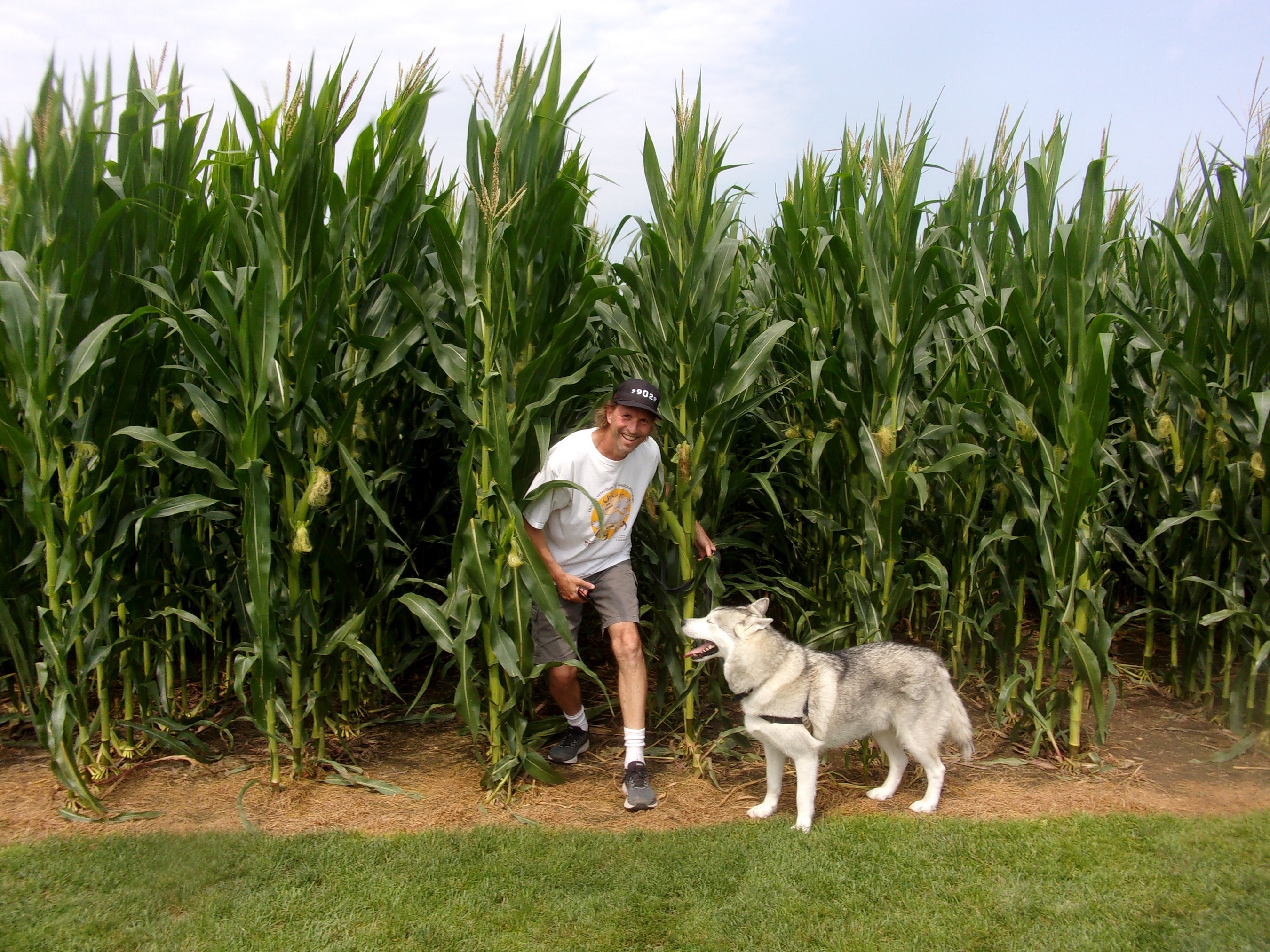 field of dreams - if you build it